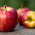 Dîner léger : Comment une pomme le soir peut faciliter votre perte de poids et ses bienfaits
